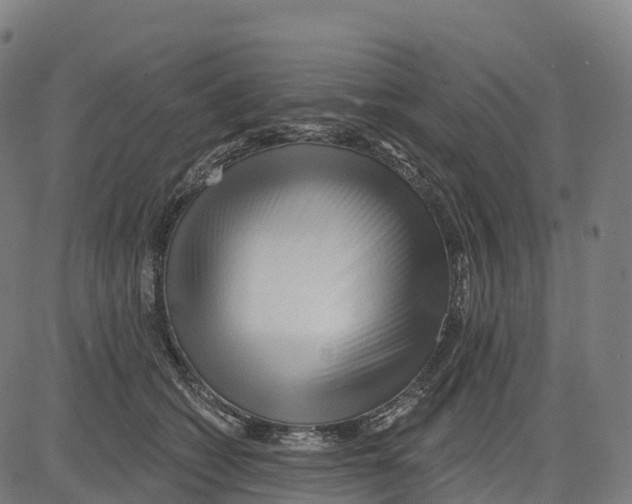 X0000083630562200703121657