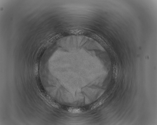 X0000083630602200703121656