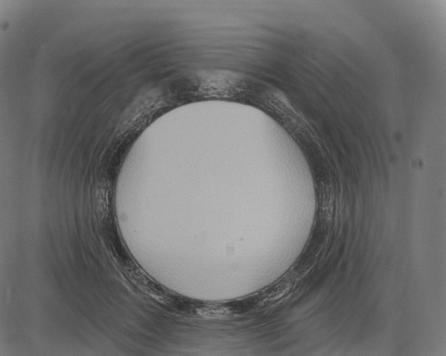 X0000083630603200703121656