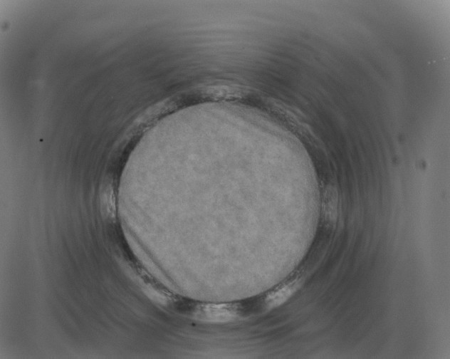 X0000083630622200703121655