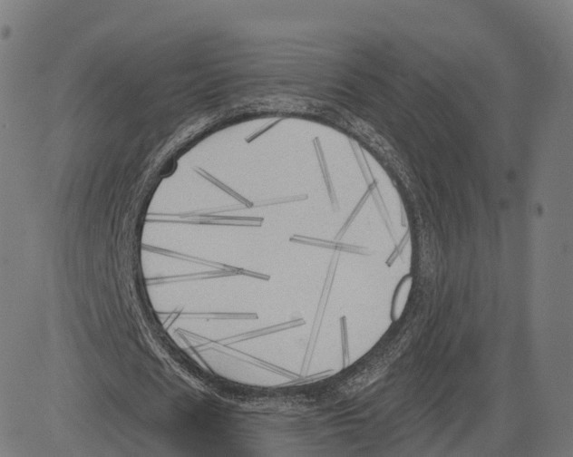 X0000083630625200703121655