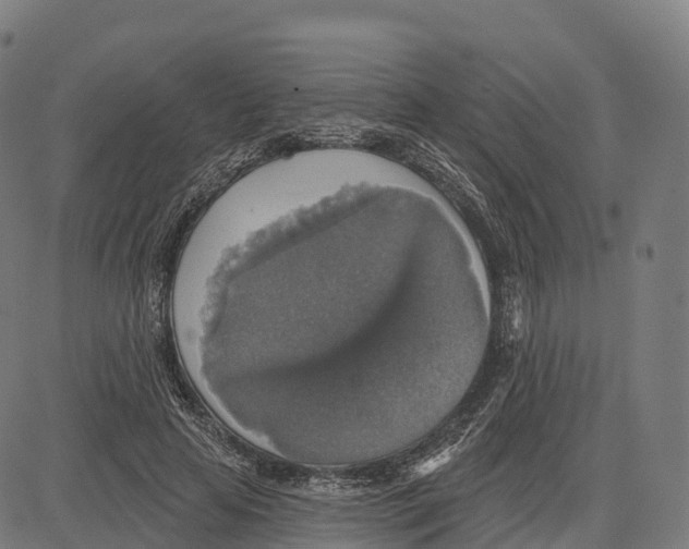 X0000083630641200703121655