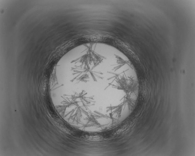X0000083630645200703121655