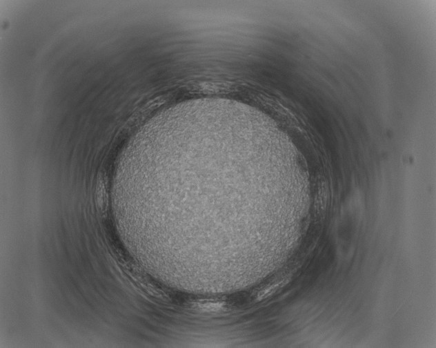 X0000083630651200703121655