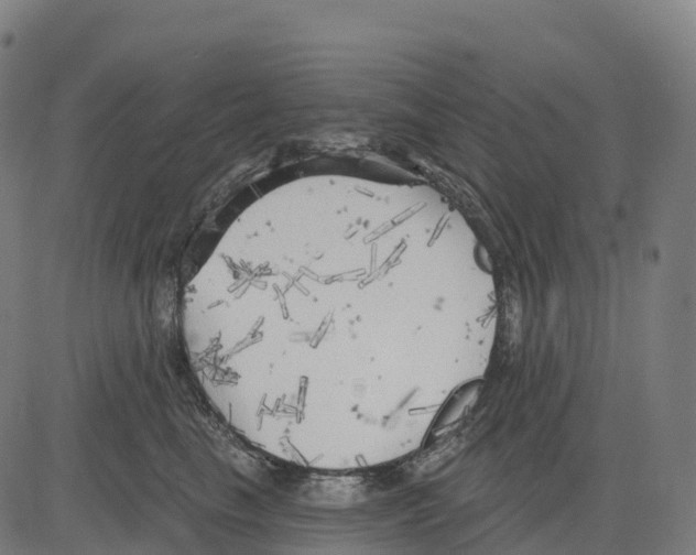 X0000083630665200703121655