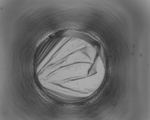 X0000083630677200703121655