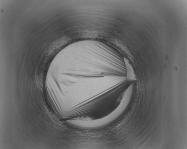 X0000083630681200703121654