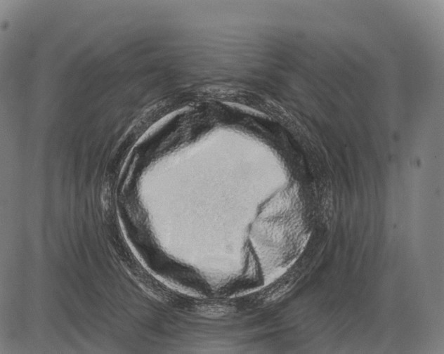 X0000083630708200703121654