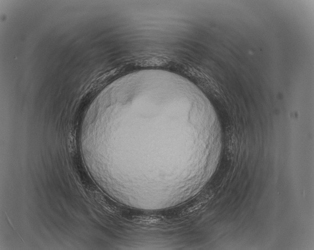 X0000083630743200703121653