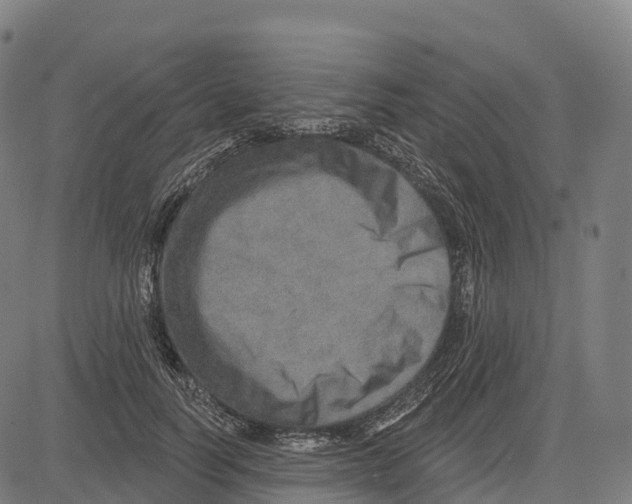 X0000083630746200703121653