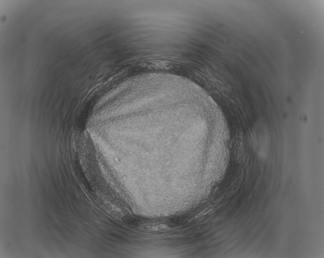 X0000083630747200703121653
