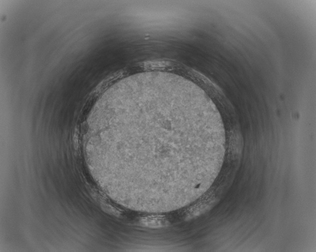 X0000083630761200703121654