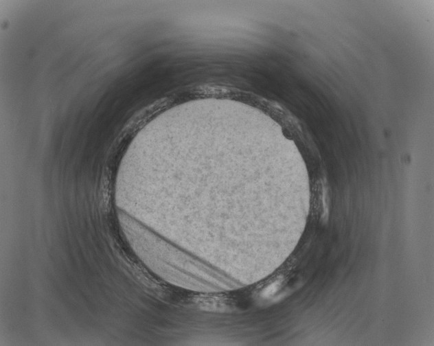 X0000083630762200703121654