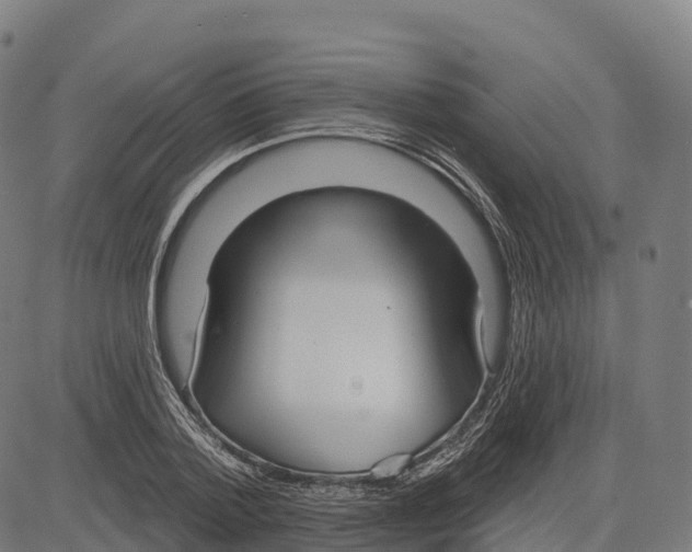 X0000083630788200703121653