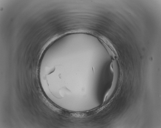 X0000083630805200703121652