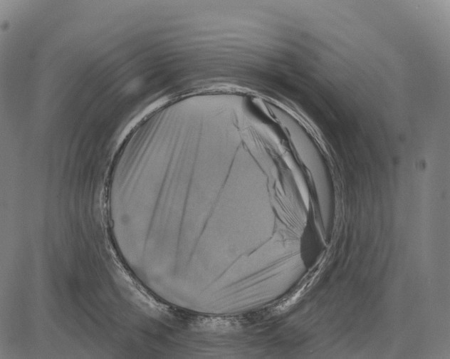 X0000083630806200703121652