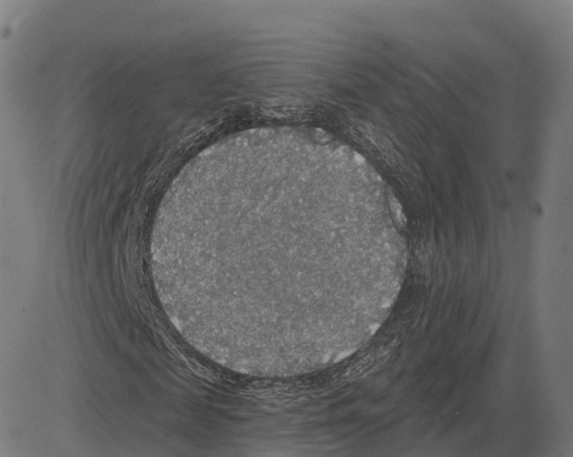 X0000083630817200703121651