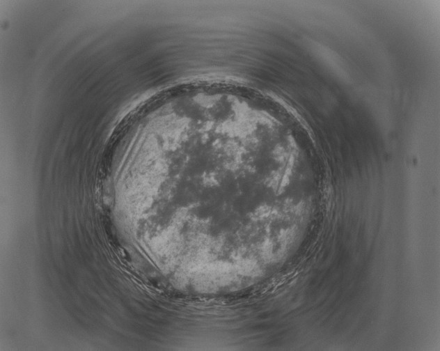 X0000083630823200703121652