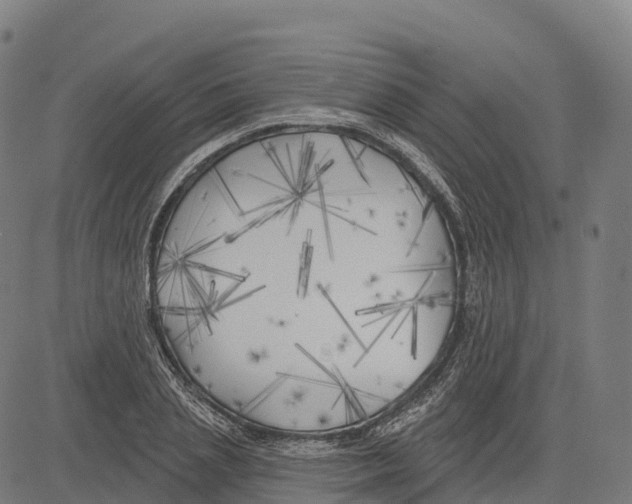 X0000083630837200703121652