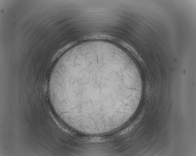 X0000083630841200703121652