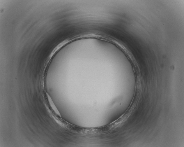 X0000083630858200703121652
