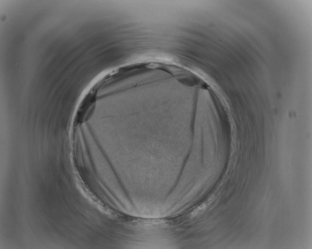 X0000083630864200703121652
