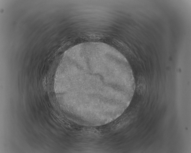 X0000083630866200703121651