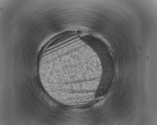 X0000083630877200703121651