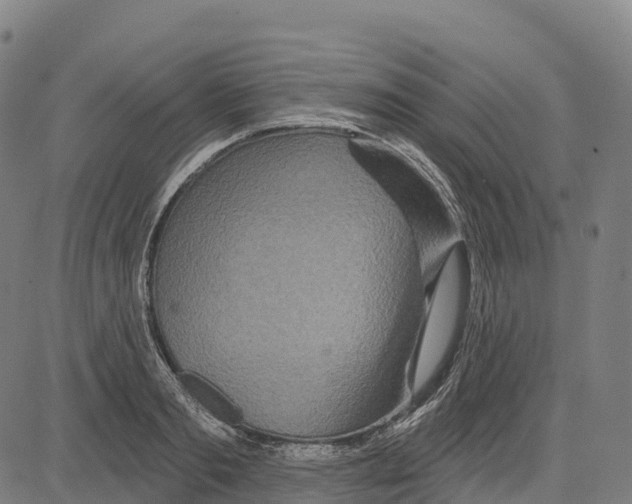 X0000083630893200703121651