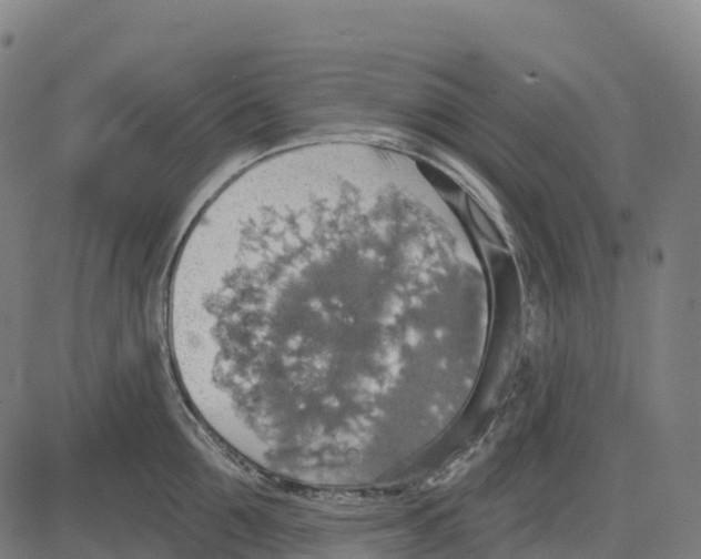 X0000083630907200703121651
