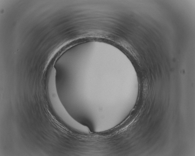 X0000083630926200703121650