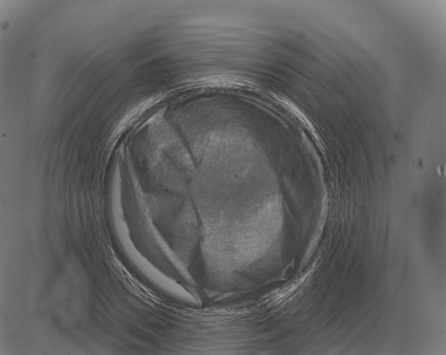 X0000083630930200703121650