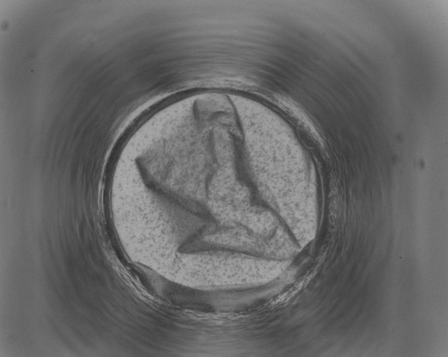 X0000083630932200703121650