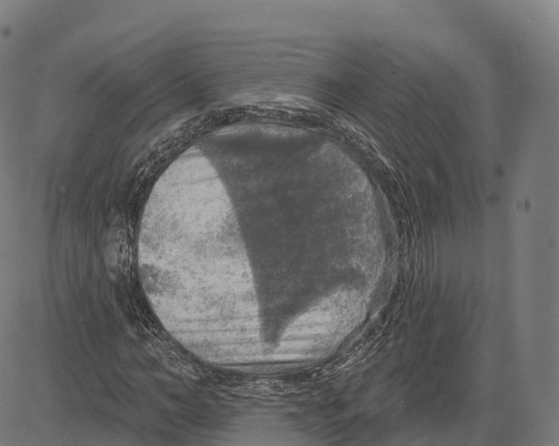 X0000083630966200703121650