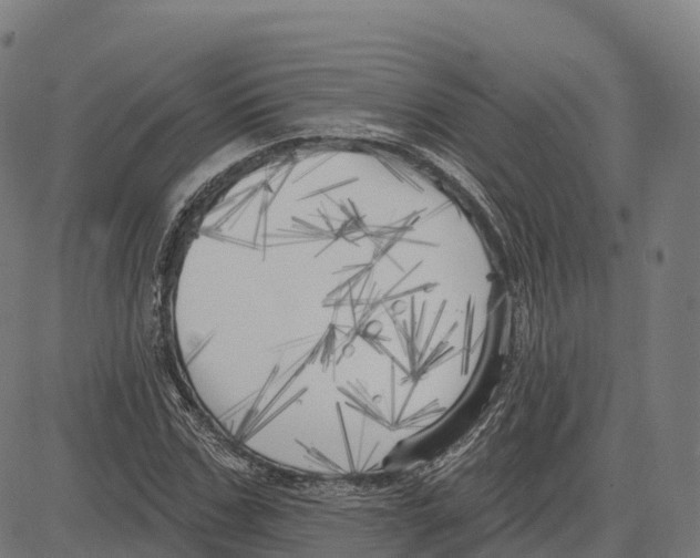 X0000083630971200703121650