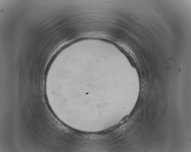 X0000083630992200703121649