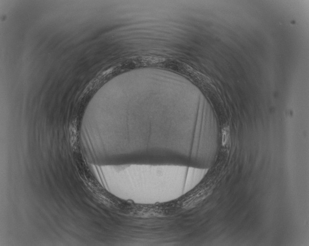 X0000083631011200703121648