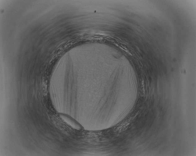 X0000083631013200703121648