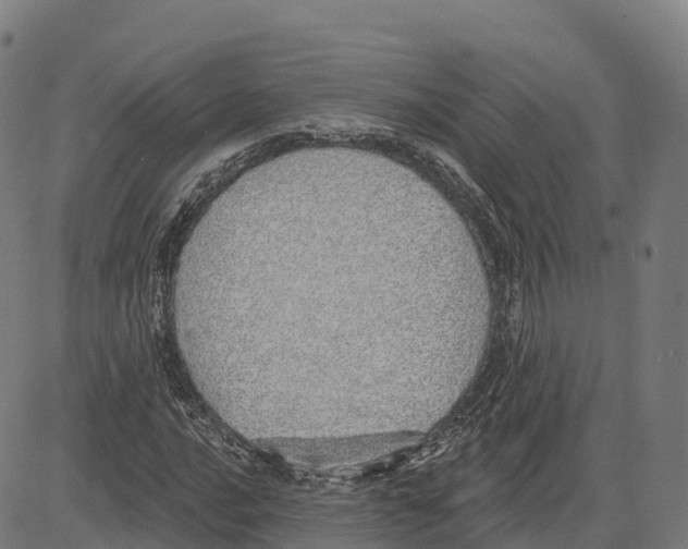 X0000083631016200703121648