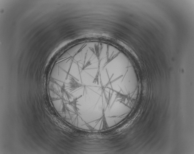 X0000083631021200703121648