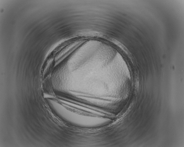 X0000083631022200703121648