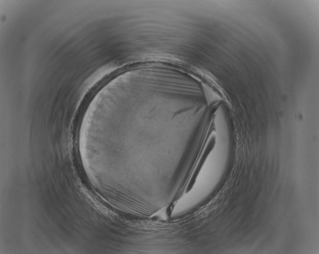 X0000083631024200703121648