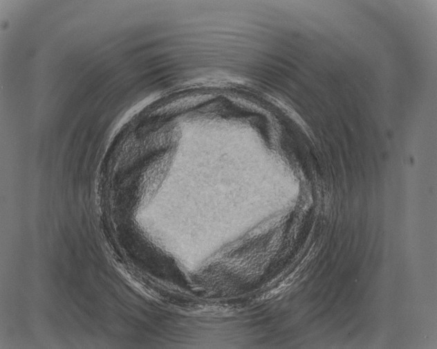 X0000083631026200703121649