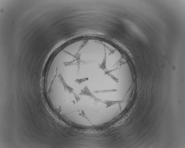 X0000083631029200703121649