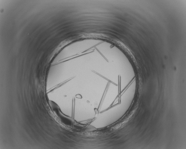 X0000083631041200703121649
