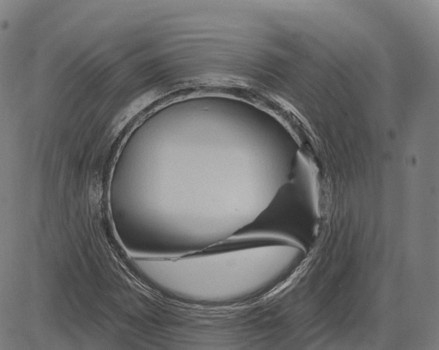 X0000083631065200703121648