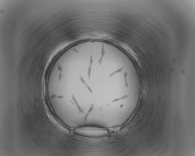 X0000083631080200703121648