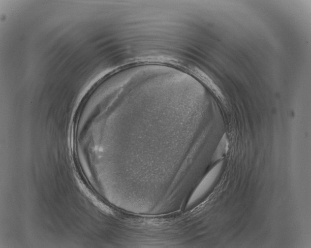 X0000083631084200703121648