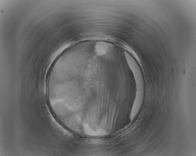 X0000083631095200703121648