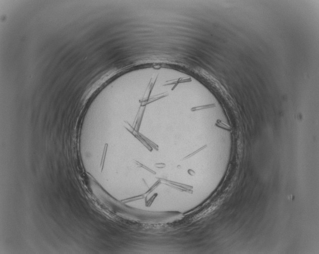 X0000083631129200703121647